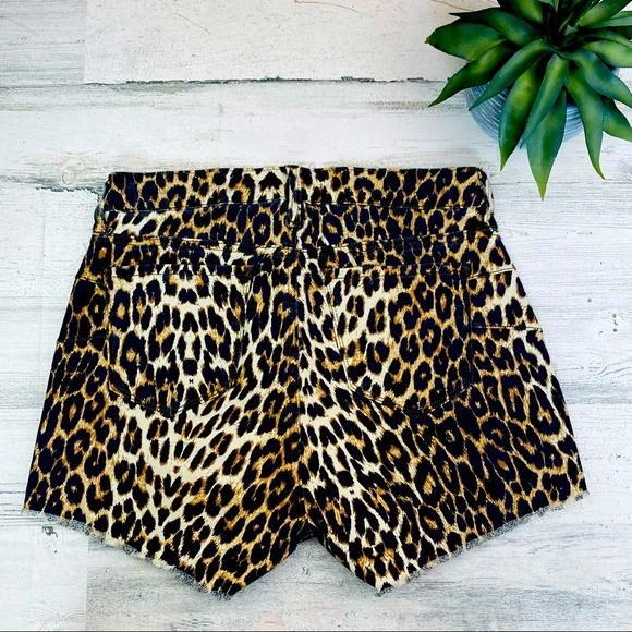 S.O.N.G. Curvy high rise leopard shorts size 9 - Picture 2 of 2